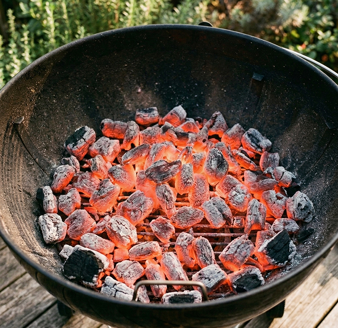 Braise ideale pour barbecue